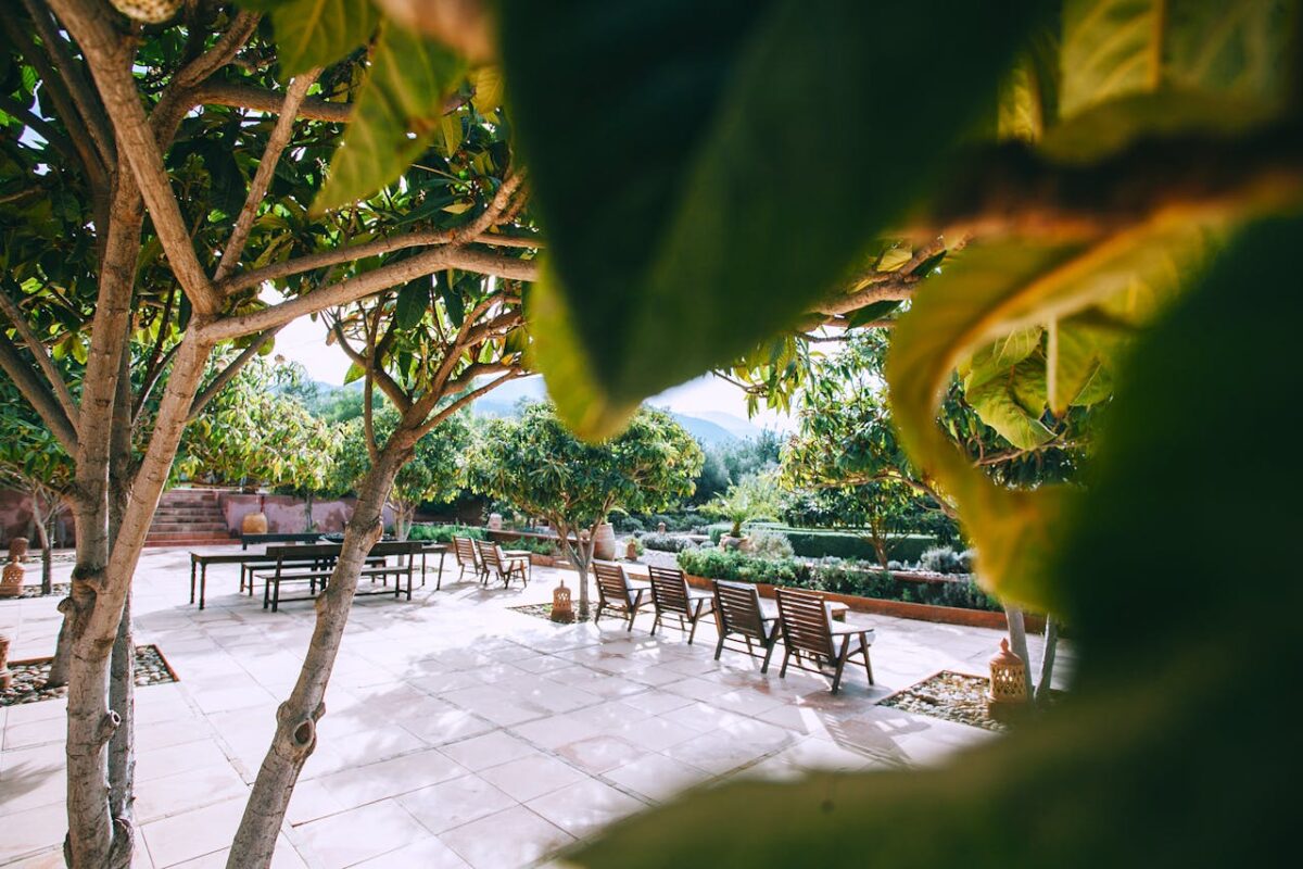 Chairs and table in spacious empty area surrounded by green trees on summer day